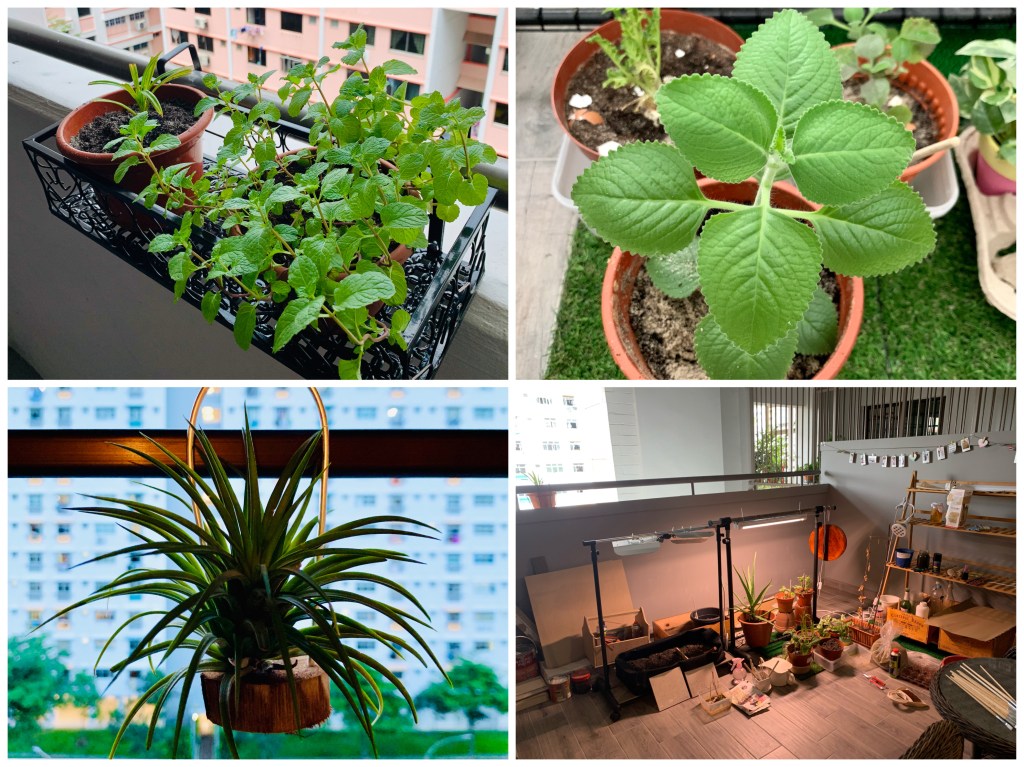 What will life after COVID-19 look&nbsp;like?