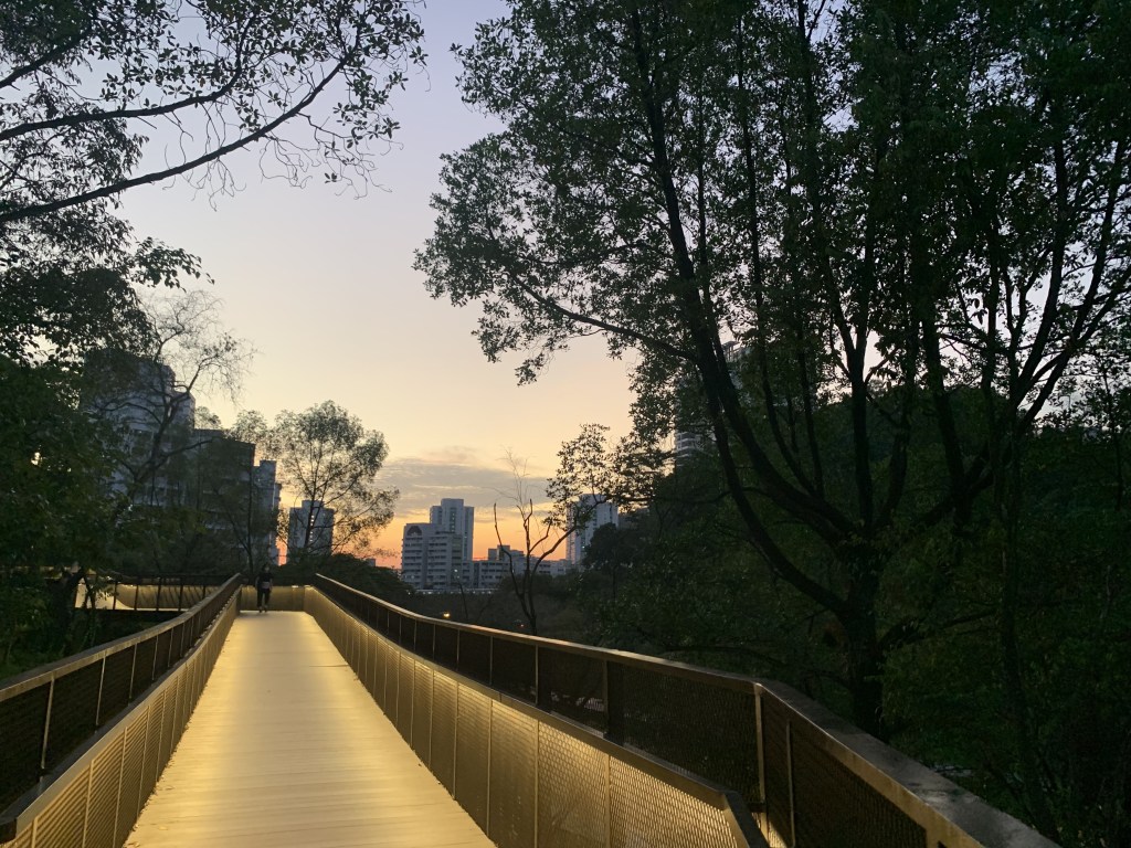 Updates from The Kongs – Oct ’21 to Jan&nbsp;’22