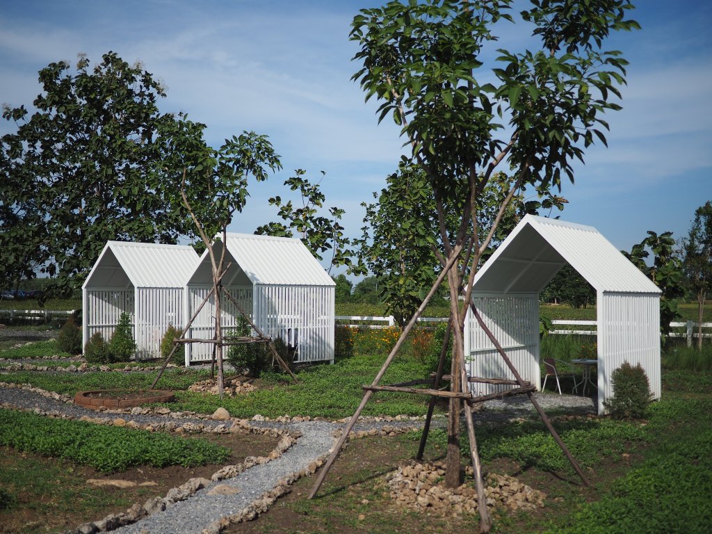 The Inconvenient Sacrifice