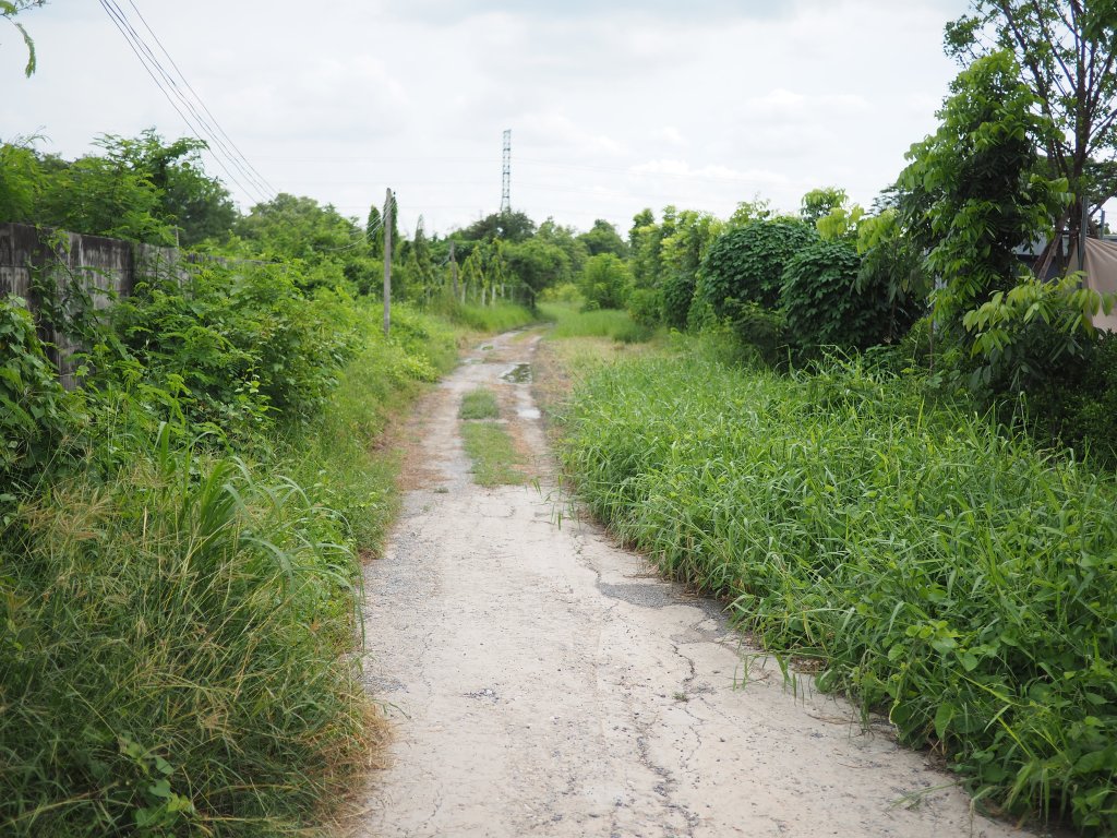 Ask for the ancient&nbsp;paths