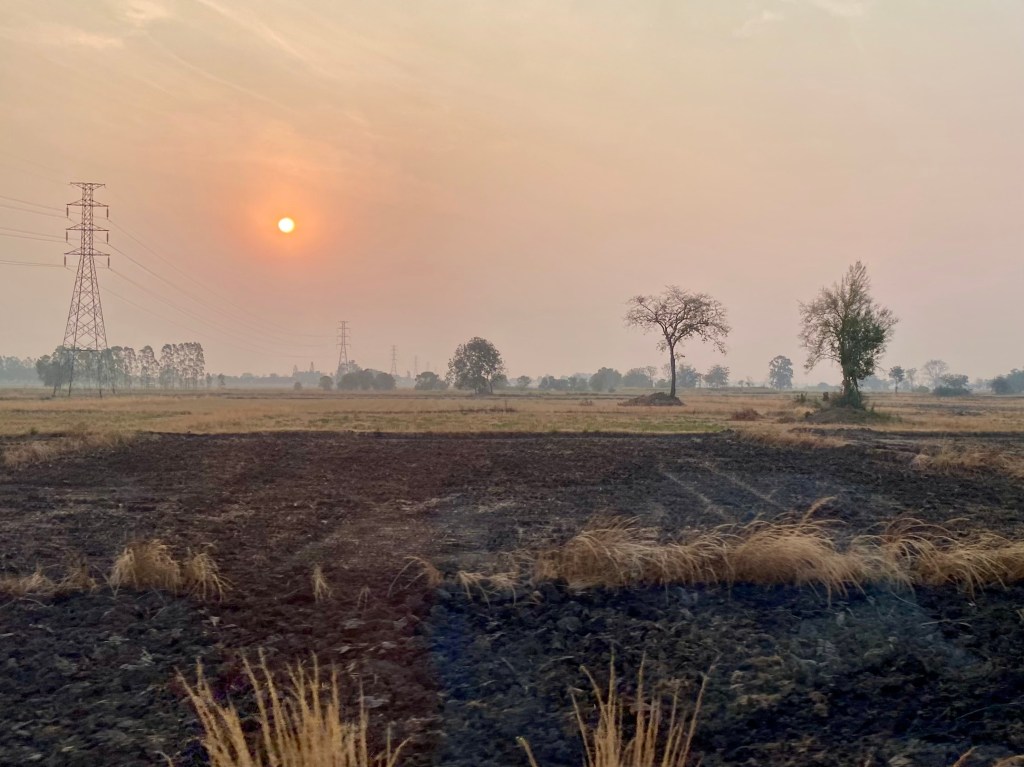 Lives of many&nbsp;deaths